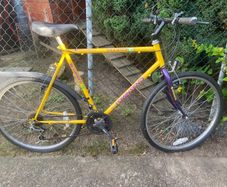 Men's Bike - Townsend Shaniko 18
