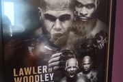ufc 201 framed poster