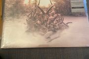 Soundgarden King Animal 2012 Brand New