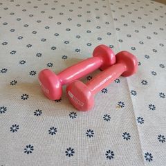 Weights 0.5kg