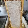 Honey comb Image 2