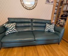 Green leather sofa plus cushions