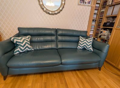 Green leather sofa plus cushions