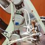 Greco strat 81 Image 10