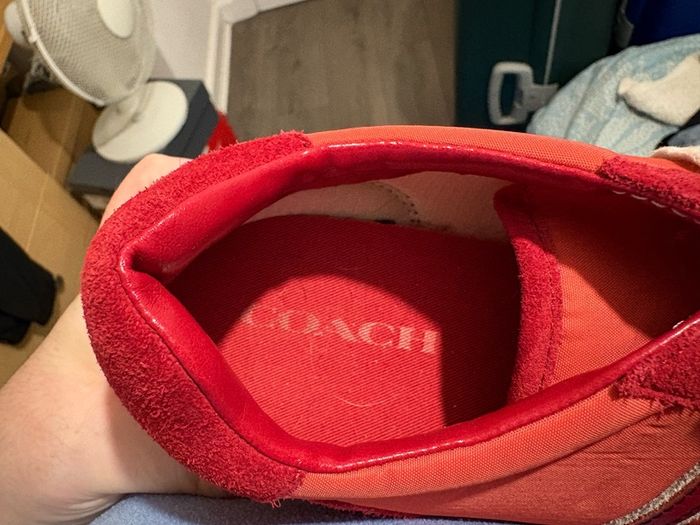 coach trainers