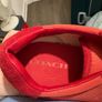 coach trainers Image 4