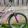 Bike -Adult bicycle Image 6