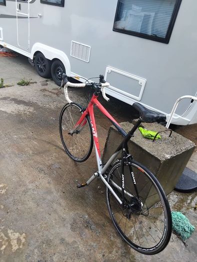 giant bike scr 3