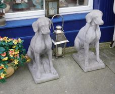 Pair of Concrete Dogs