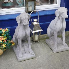 Pair of Concrete Dogs
