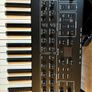 Prophet Rev 2 8/16 Polyphonic Synthesizer Image 10