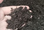 Worm Castings / Vermicasting (1L)