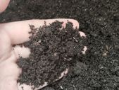 Worm Castings / Vermicasting (1L)