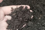 Worm Castings / Vermicasting (1L)