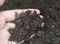 main image for ad Worm Castings / Vermicasting (1L)