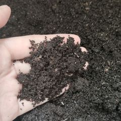 Worm Castings / Vermicasting (1L)