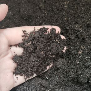 Worm Castings / Vermicasting (1L)