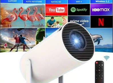 portable projector