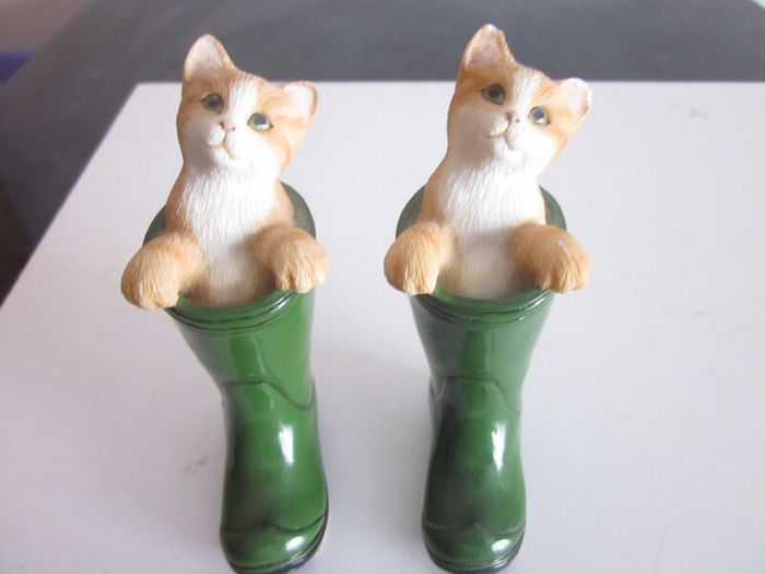 Pair of Leonardo Cats in Green Wellington Boots