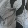 Large Original Framed Pencil / Graphite Drawing Image 7