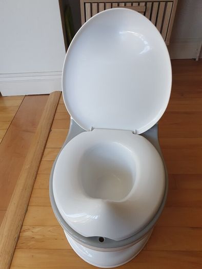 Toilet potty