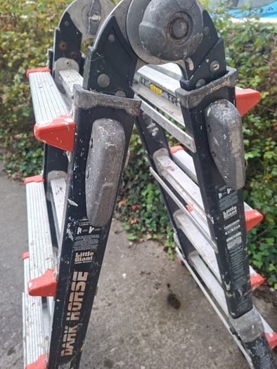 ladder little giant