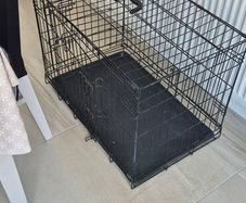 dog cage