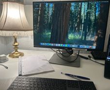 Dell U2415 24 Inch IPS Monitor 1920x1200 Height Adjustable