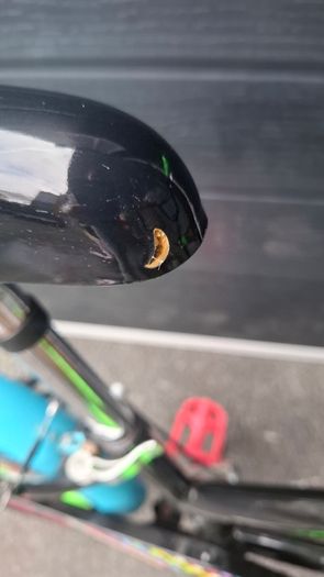 Kids bike