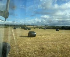 Haylage