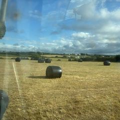 Haylage