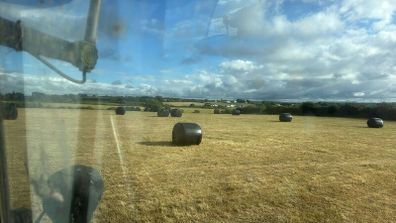 Haylage