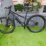 mountin bike Image 3