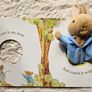 Peter Rabbit Let's Cuddle Big Puppet Play Book Image 6