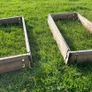 2 Wooden Raised beds Image 8