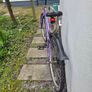 Ladies bike Image 4