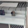 Large glass cage for gerbils, mouse/ mice, rats or other rodents Image 3