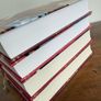 Concordia Antarova Two Lives Complete 4 Volume Set Image 2