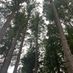 BarbosinhaA