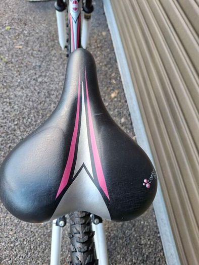 Bicycles ( Lady's Apollo )
