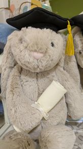 Bashful Bunny Graduation Outfit Jellycat BNWT