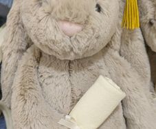 Bashful Bunny Graduation Outfit Jellycat BNWT