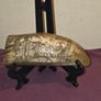 Scrimshaw Art Image 5