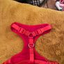 Xmas Dog Harness Image 3