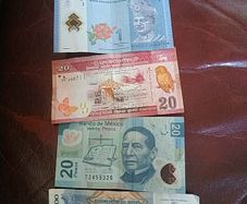 Foreign Notes