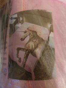 Pink unicorn blanket