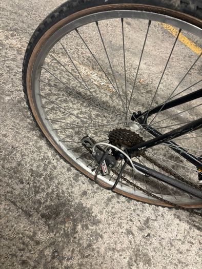 Giant bike