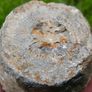 Big Coral fossil w/ complete silicification Image 4