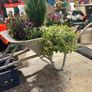 wheelbarrow planter Image 2