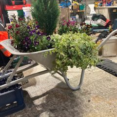 wheelbarrow planter